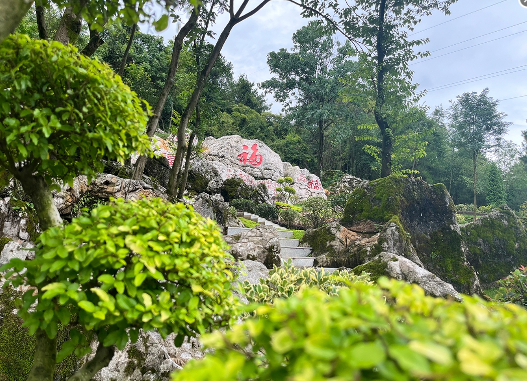 ��԰����