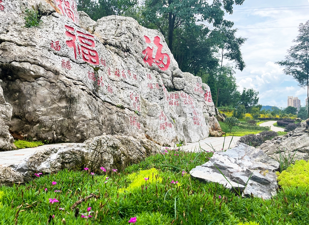 ��԰����